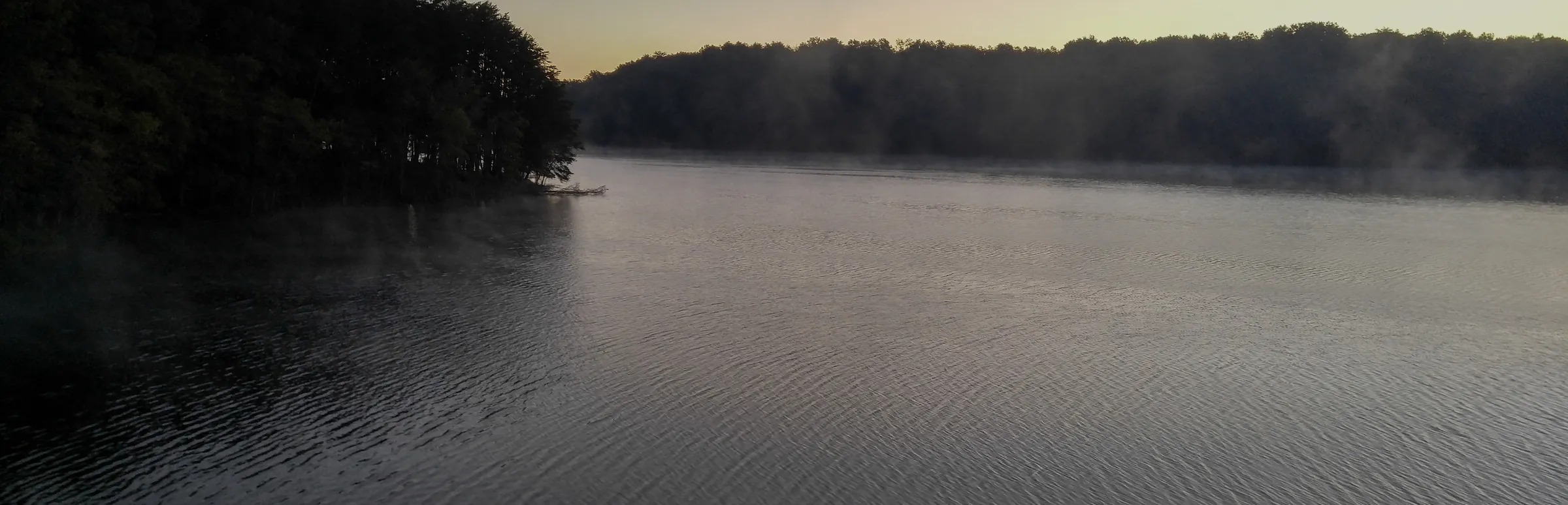 Mist rising off still water at dawn, a dark treeline along both shores